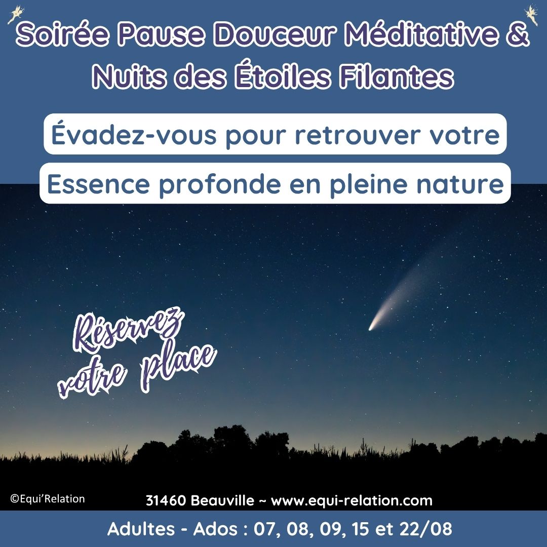 Agenda Stage adulte sur la Communication
