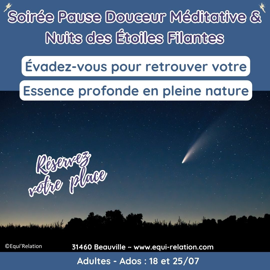 Agenda Stage adulte sur la Communication