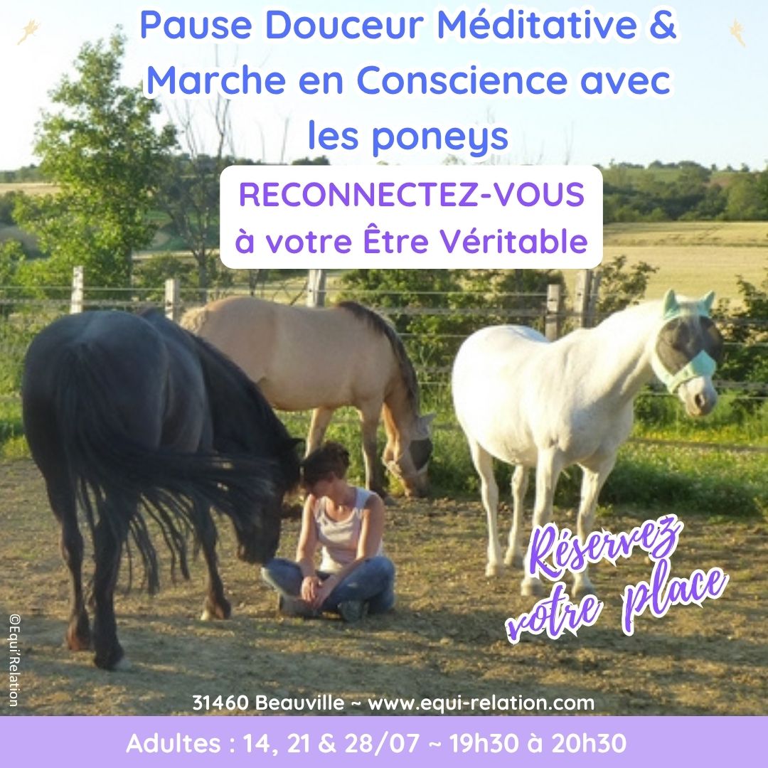 Agenda Stage adulte sur les émotions