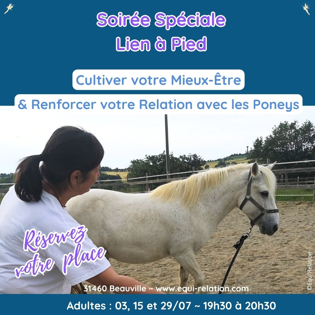 Agenda Stage adultes reconnexion a soi