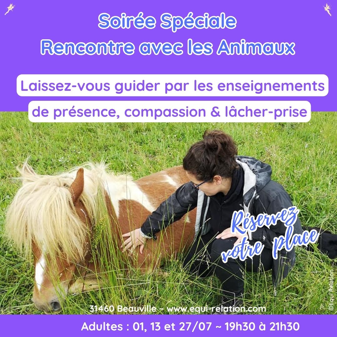 Agenda Stage adulte sur la Communication