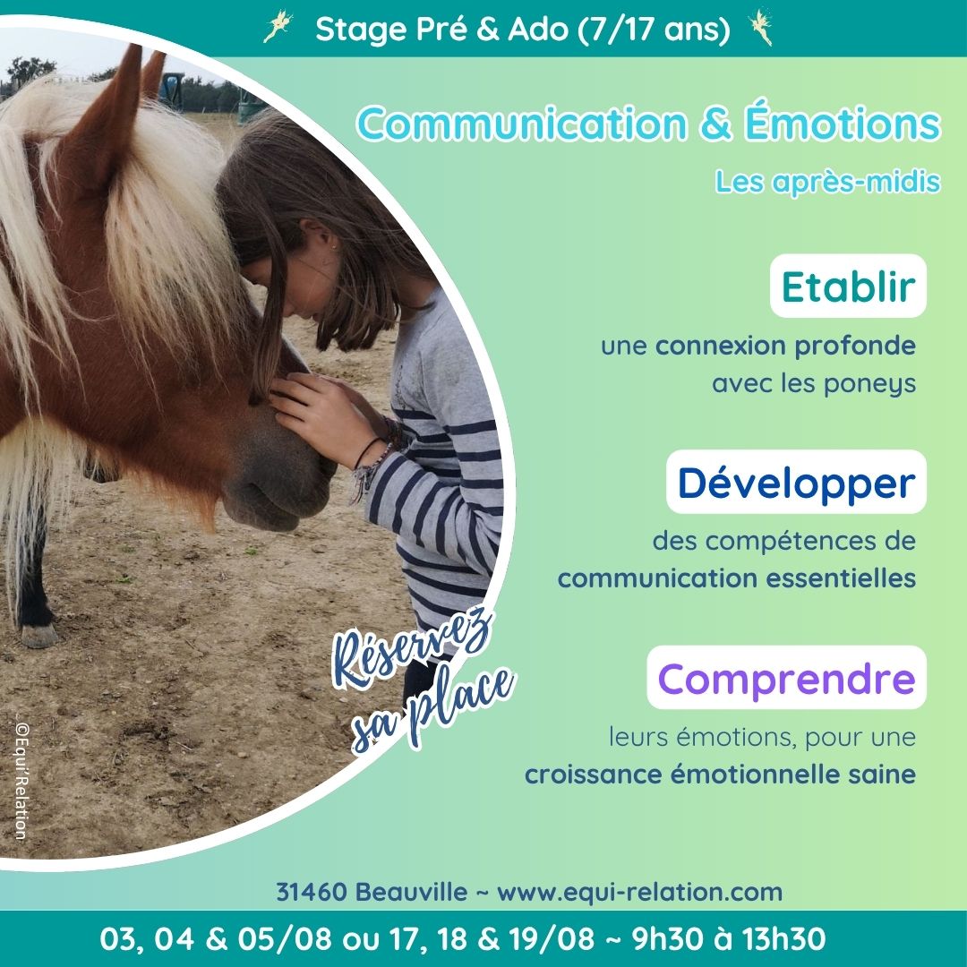 Stage Découvrir la Monte à cru Poneys Noel