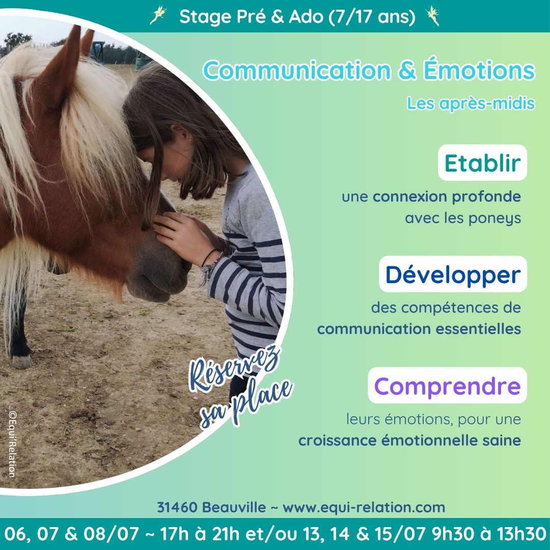 Stage Rencontre Tout Petits Poneys Noel